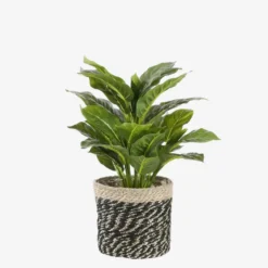 Mica Decorations Evergreen Kunstplant Groen