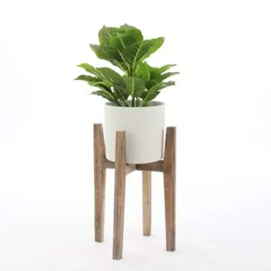 Mica Decorations Evergreen Kunstplant Groen