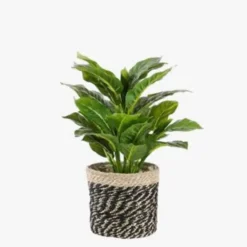 Mica Decorations Evergreen Kunstplant Groen