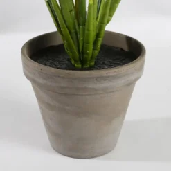 Mica Decorations Evergreen Kunstplant Groen