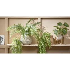 Mica Decorations Ficus Kunst Hangplant - H81 cm - Groen