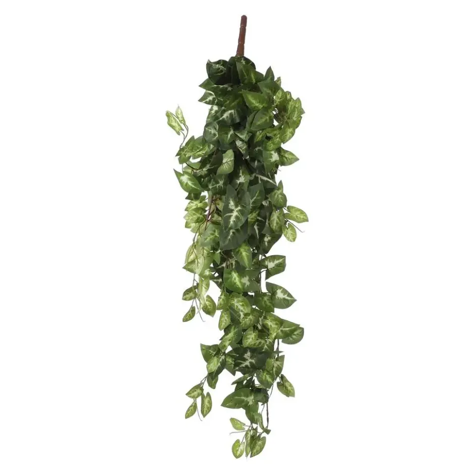 Mica Decorations Fittonia Kunst Hangplant in Pot - H80 cm - Groen