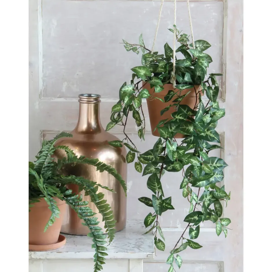Mica Decorations Fittonia Kunst Hangplant in Pot - H80 cm - Groen