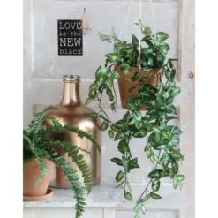 Mica Decorations Fittonia Kunst Hangplant in Pot - H80 cm - Groen