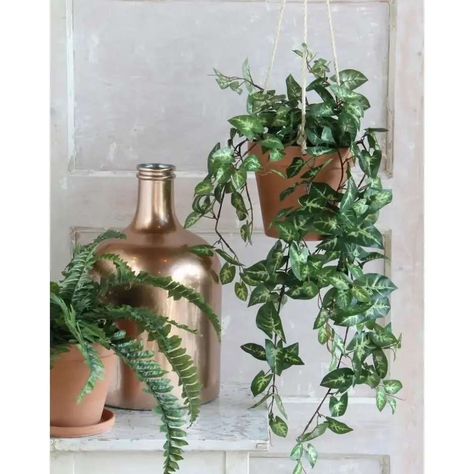 Mica Decorations Fittonia Kunst Hangplant in Pot - H80 cm - Groen