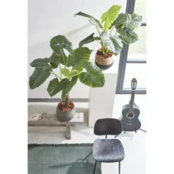 Mica Decorations Jorck Mand voor Planten - Set van 3 - Zwart