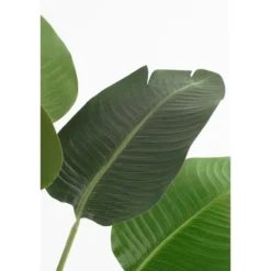 Mica Decorations Kunstplant Bananenboom in Pot - H180 x Ø30 cm - Groen