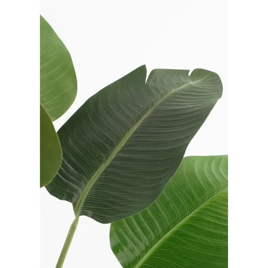 Mica Decorations Kunstplant Bananenboom in Pot - H180 x Ø30 cm - Groen
