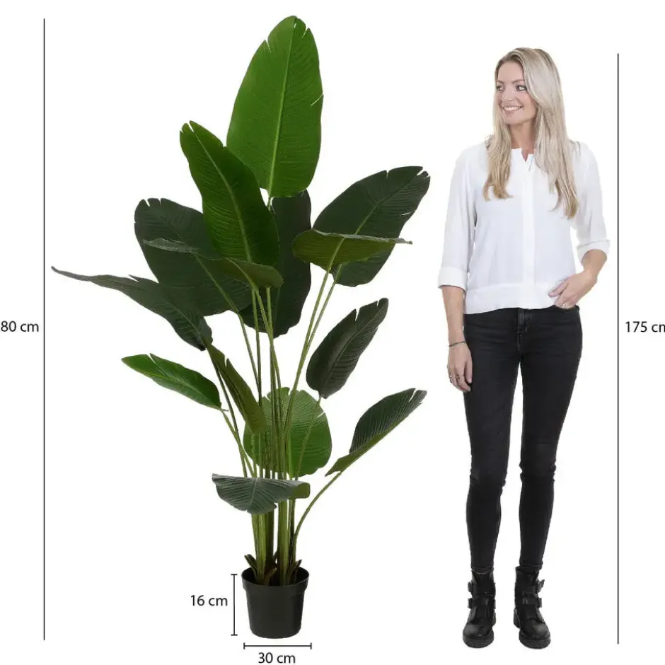 Mica Decorations Kunstplant Bananenboom in Pot - H180 x Ø30 cm - Groen