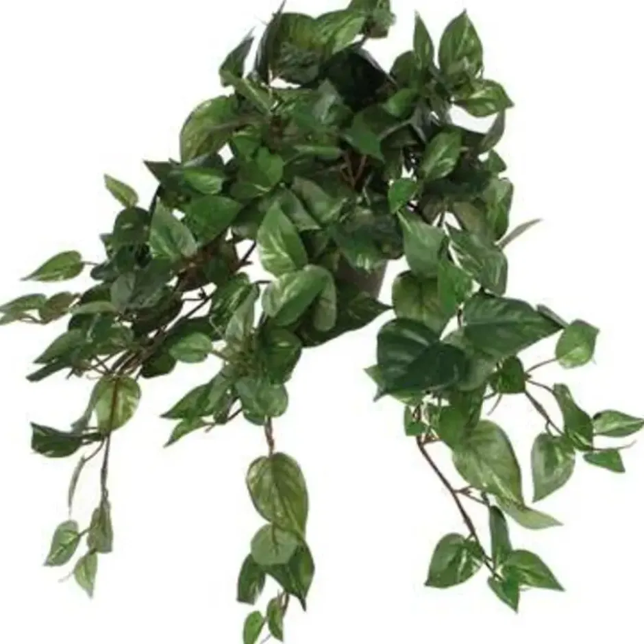 Mica Decorations Kunstplant - scindapsus drakenklimop - groen - 45 cm