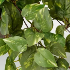 Mica Decorations Kunstplant - scindapsus drakenklimop - groen - 45 cm