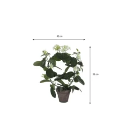 Mica Decorations Kunstplant - stephanotis bruidsbloem - wit - 50 cm