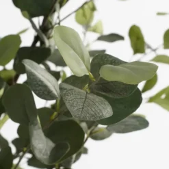 Mica Decorations Kunstplant Eucalyptusboom in Pot - H180 x Ø80 cm