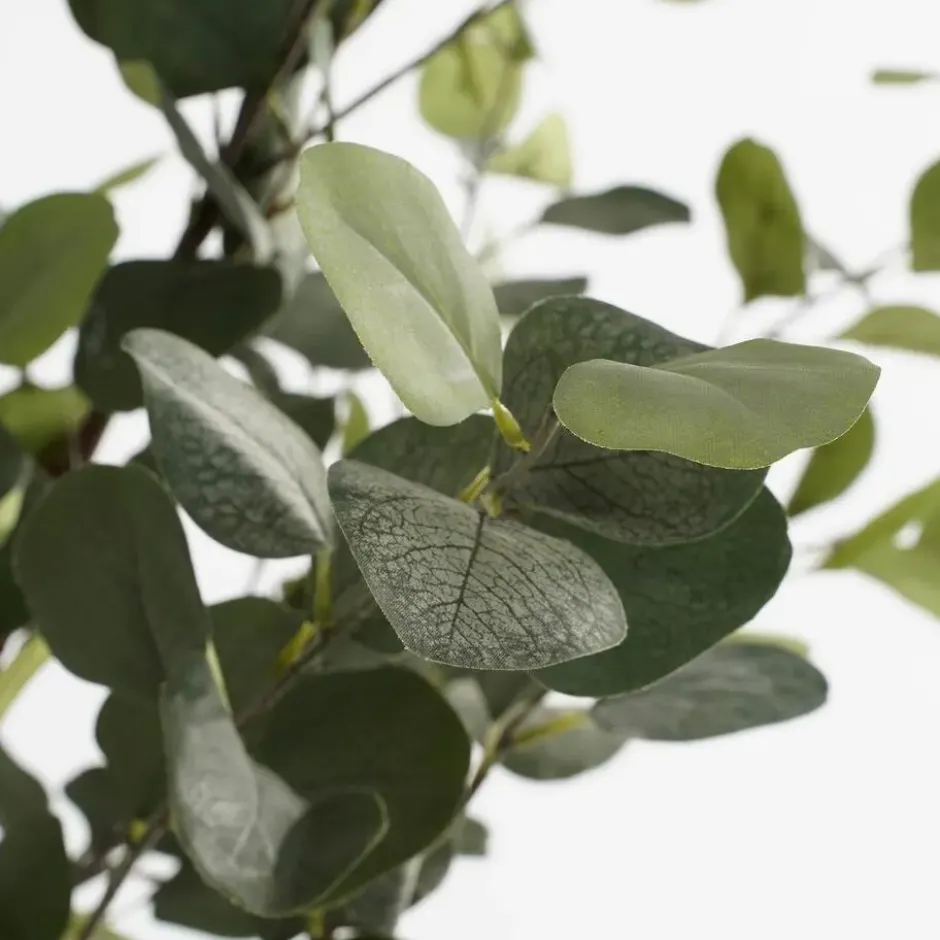 Mica Decorations Kunstplant Eucalyptusboom in Pot - H180 x Ø80 cm