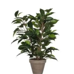 Mica Decorations Kunstplant Ficus - groen - 40 cm - voor binnen