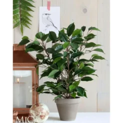 Mica Decorations Kunstplant Ficus - groen - 40 cm - voor binnen