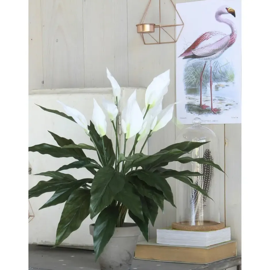 Mica Decorations Kunstplant - spathiphyllum lepelplant - wit - 50 cm