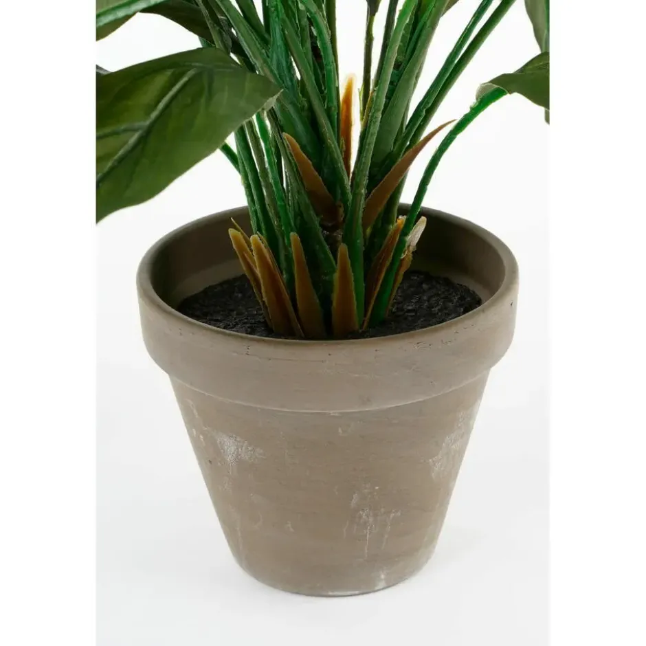 Mica Decorations Kunstplant - spathiphyllum lepelplant - wit - 50 cm