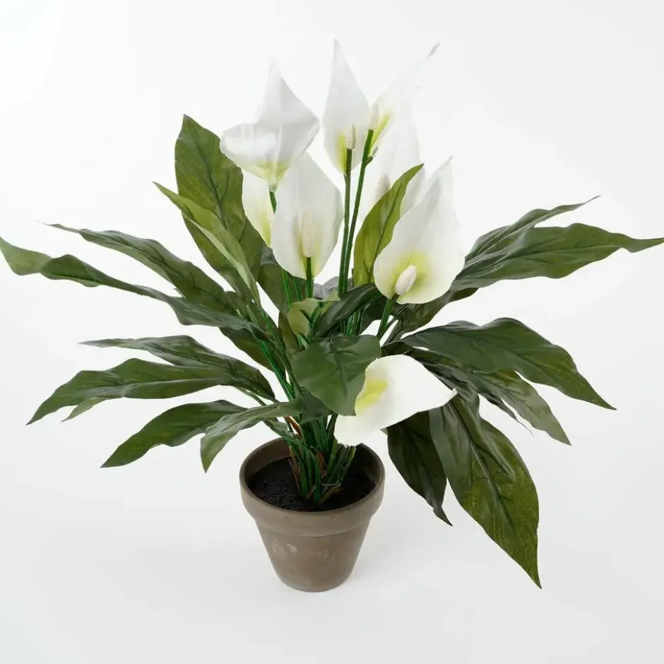 Mica Decorations Kunstplant - spathiphyllum lepelplant - wit - 50 cm