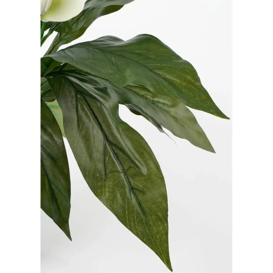 Mica Decorations Kunstplant - spathiphyllum lepelplant - wit - 50 cm