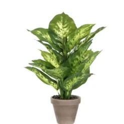 Mica Decorations Kunstplant Dieffenbachia - groen - 40 cm - in pot