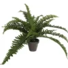 Mica Decorations Kunstplant - varen - groen - in pot - 45 x 35 cm
