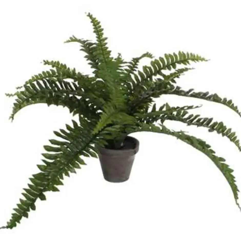 Mica Decorations Kunstplant - varen - groen - in pot - 45 x 35 cm