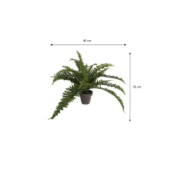 Mica Decorations Kunstplant - varen - groen - in pot - 45 x 35 cm