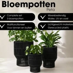 Mica Decorations Peta Bloempot – Set van 3 – Zwart