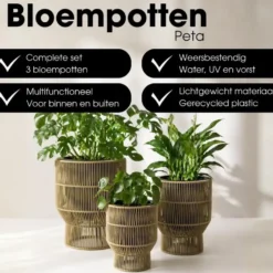 Mica Decorations Peta Bloempot – Set van 3 – Groen