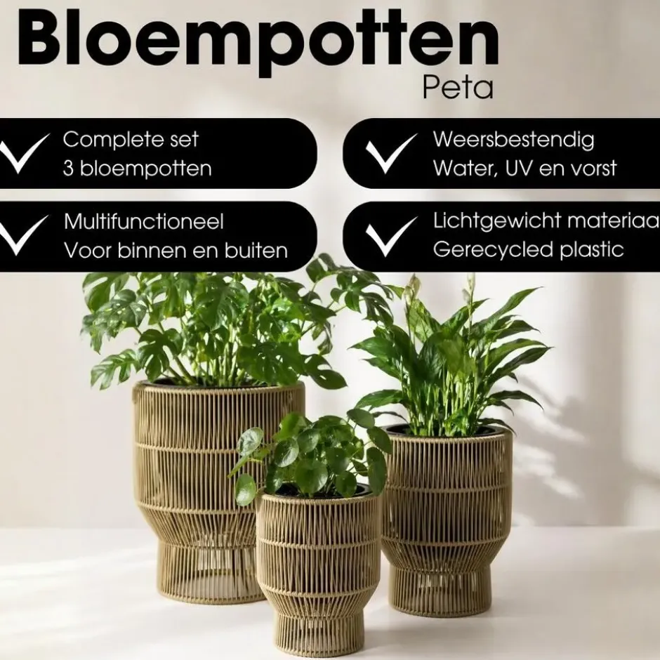 Mica Decorations Peta Bloempot – Set van 3 – Groen