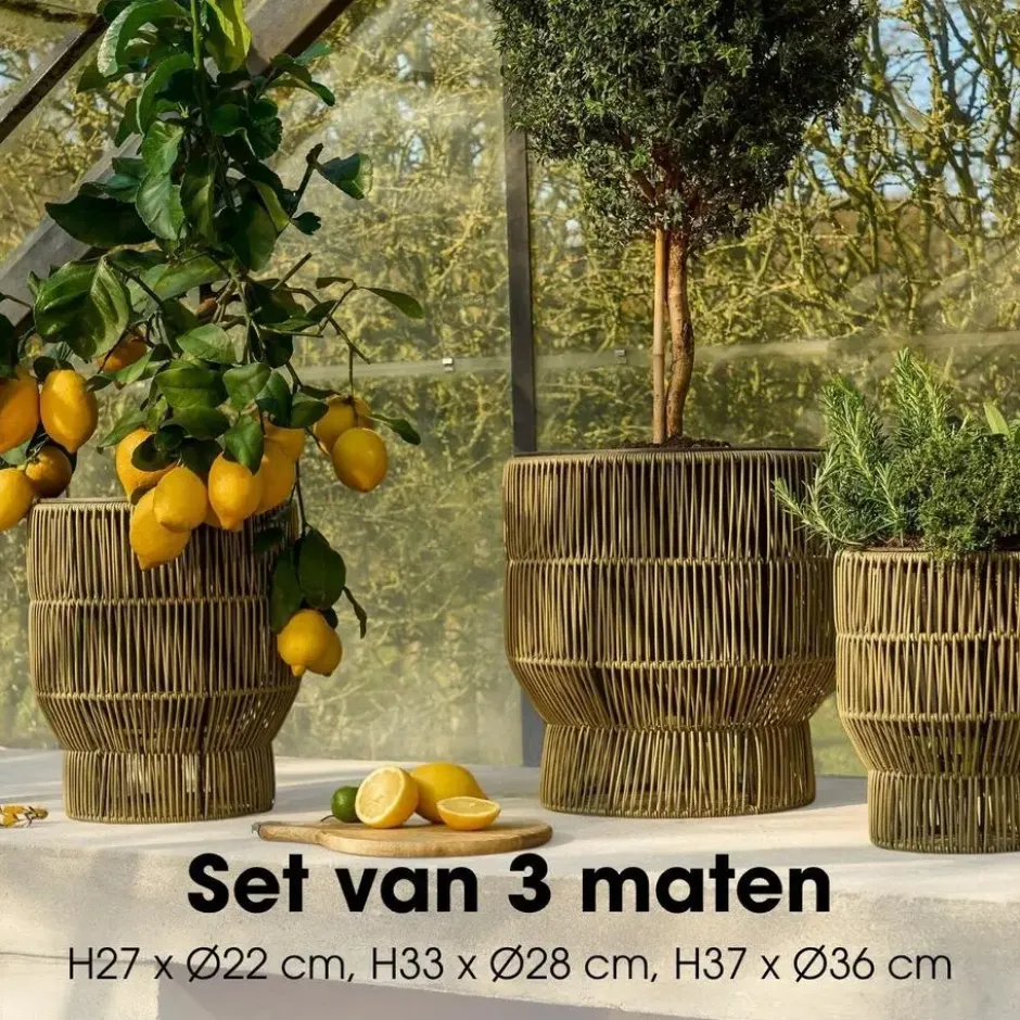 Mica Decorations Peta Bloempot – Set van 3 – Groen