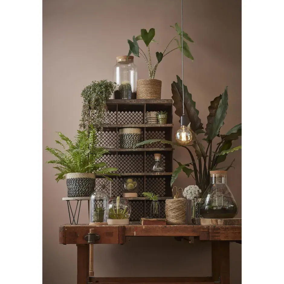 Mica Decorations Plantenmand - rotan - naturel met bruin - 20 cm