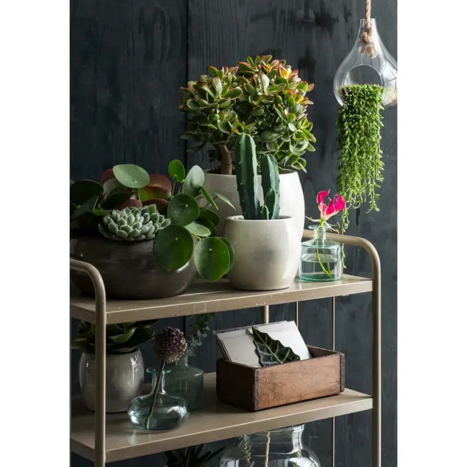 Mica Decorations Plantenpot - groen - keramiek - 33 x 31 cm