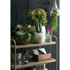 Mica Decorations Plantenpot - groen - keramiek - 33 x 31 cm