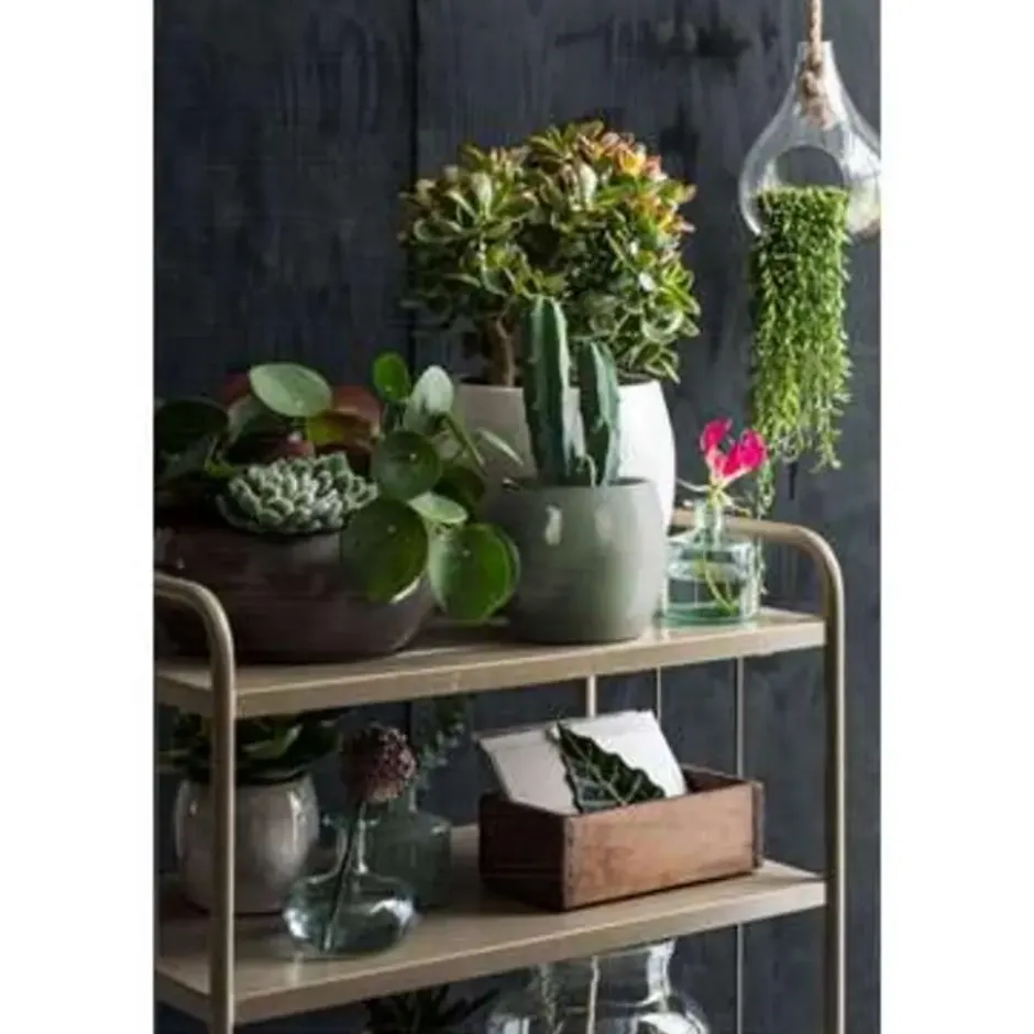 Mica Decorations Plantenpot - groen - keramiek - 33 x 31 cm
