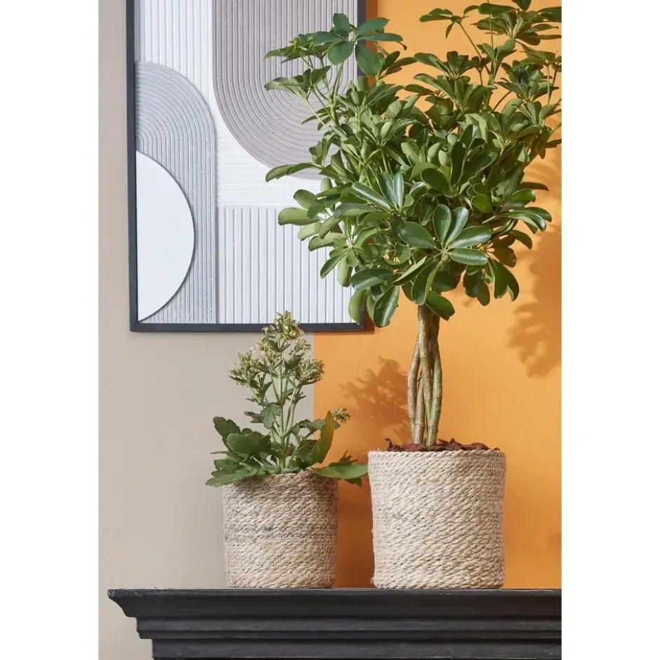 Mica Decorations Plantenpot - rotan - bruin - plantenmand - 20 x 20 cm