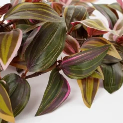 Mica Decorations Tradescantia Kunst Hangplant - H54 cm - Bordeaux