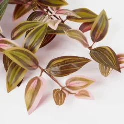Mica Decorations Tradescantia Kunst Hangplant - H54 cm - Bordeaux