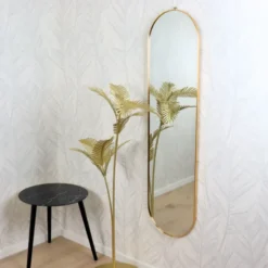 MISOU Spiegel Passpiegel Goud Ovaal Hangend 115cm Glas Spiegels