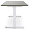 MRC EASY Zit-Sta Bureau – Elektrisch Verstelbaar – 120x80 cm – Blad Forest Green