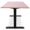 MRC EASY Zit-Sta Bureau – Elektrisch Verstelbaar – 160x80 cm – Blad Dusty Rose
