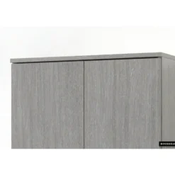 Opbergkast Ray 60cm met 2 deuren en 4 legplanken in grijze eik
