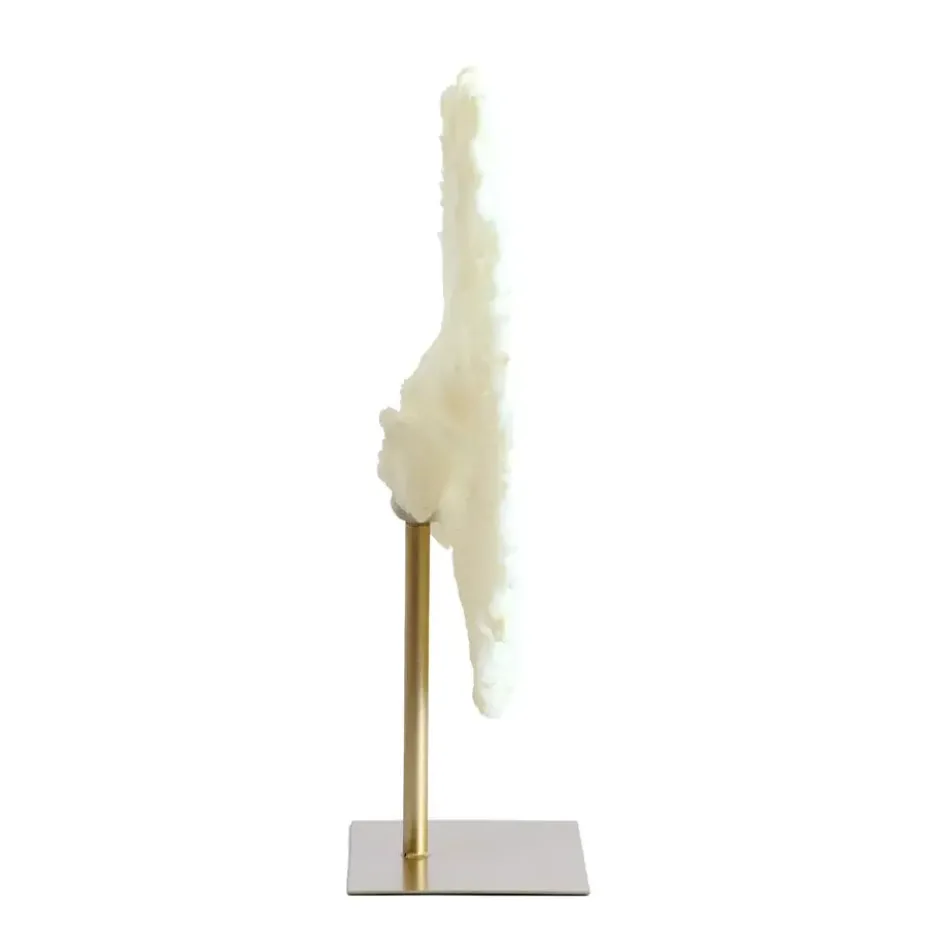 Ornament Coral - Crème - 46x20x69cm