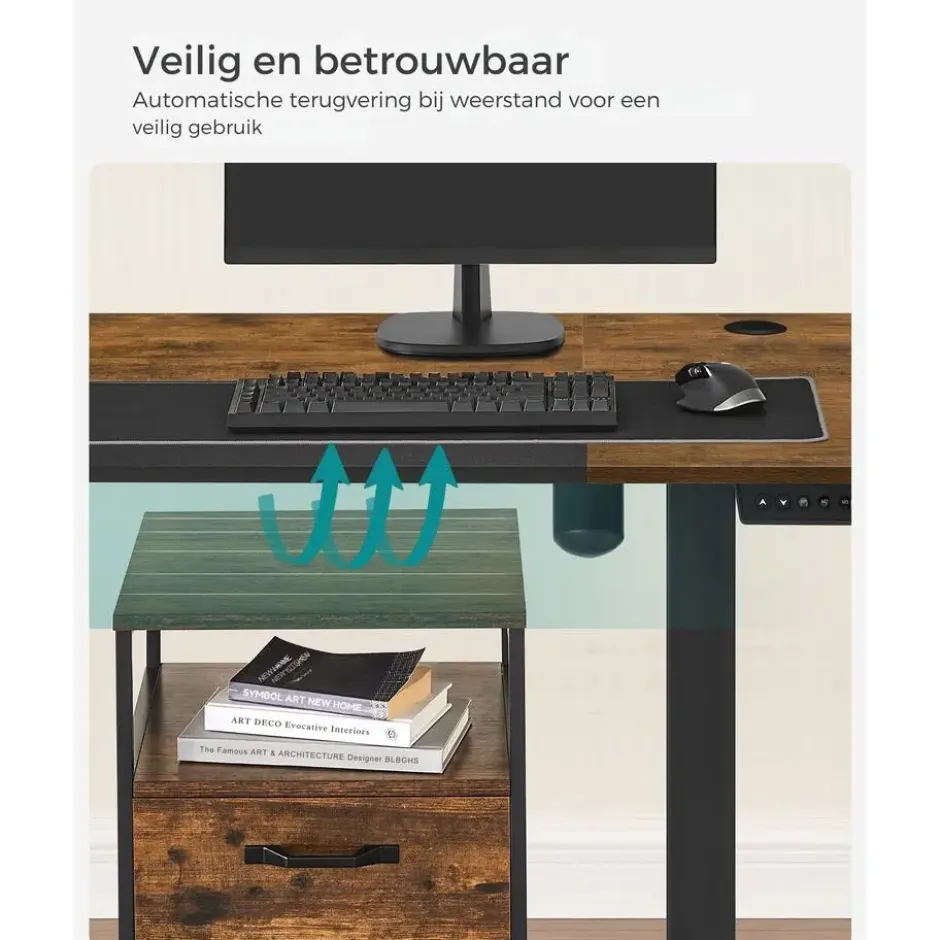 Parya Staand Bureau Elektrisch - Verstelbaar 120 x 60 cm