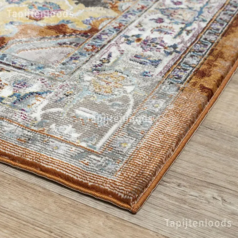 Picasso Castana Vintage Vloerkleed Terra / Multi - 240x340 CM