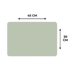 Placemat 6 stuks 45x30 cm Mintgroen - Effen kleur