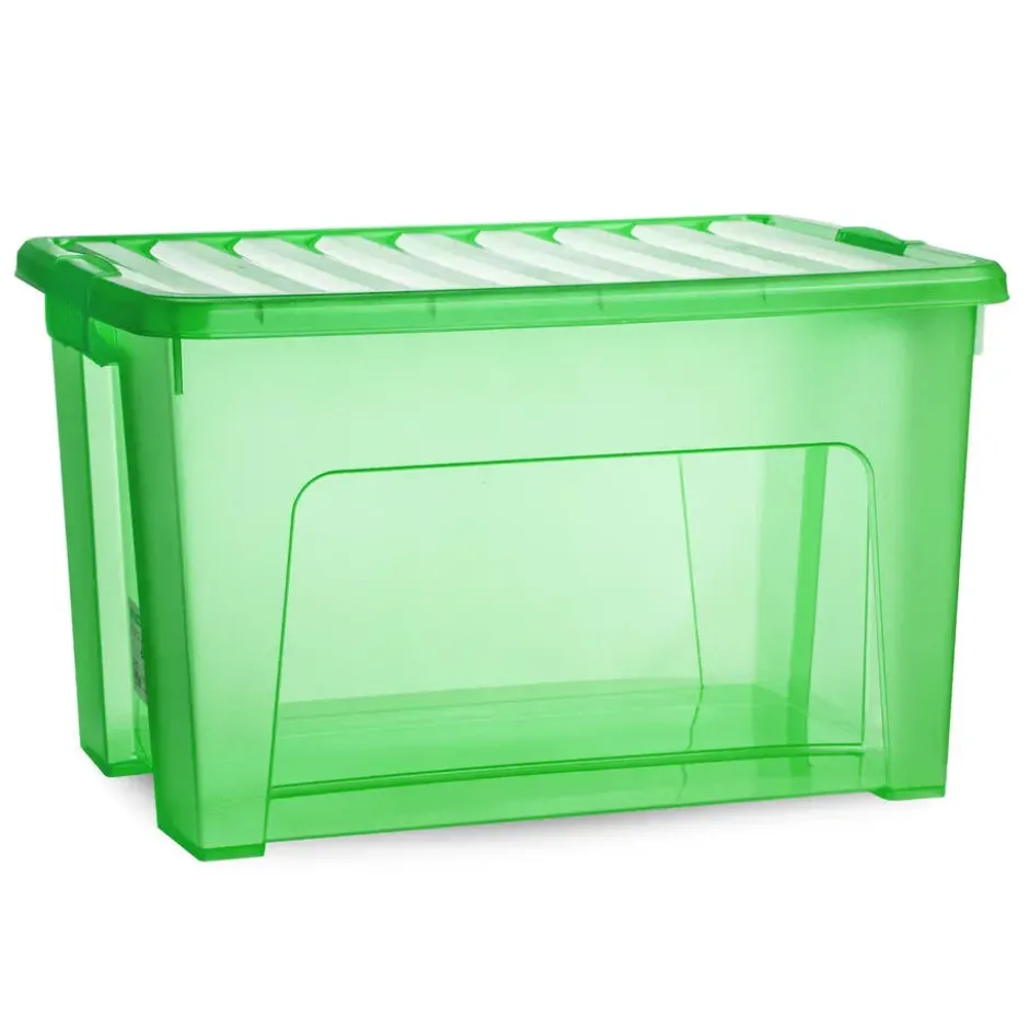 Plasticforte Opbergbox met deksel - groen - 47L - kunststof