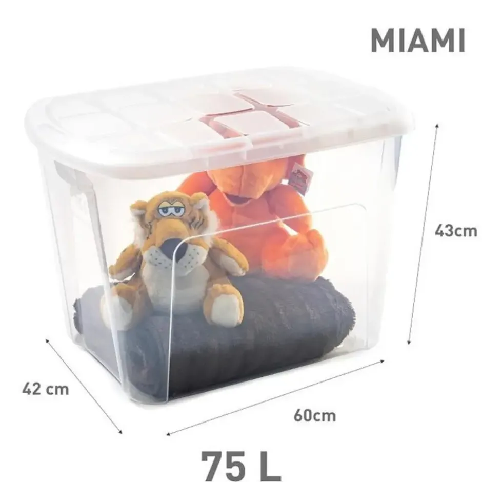 Plasticforte Opbergkist met deksel - Box - 75L - 60x42x43 cm