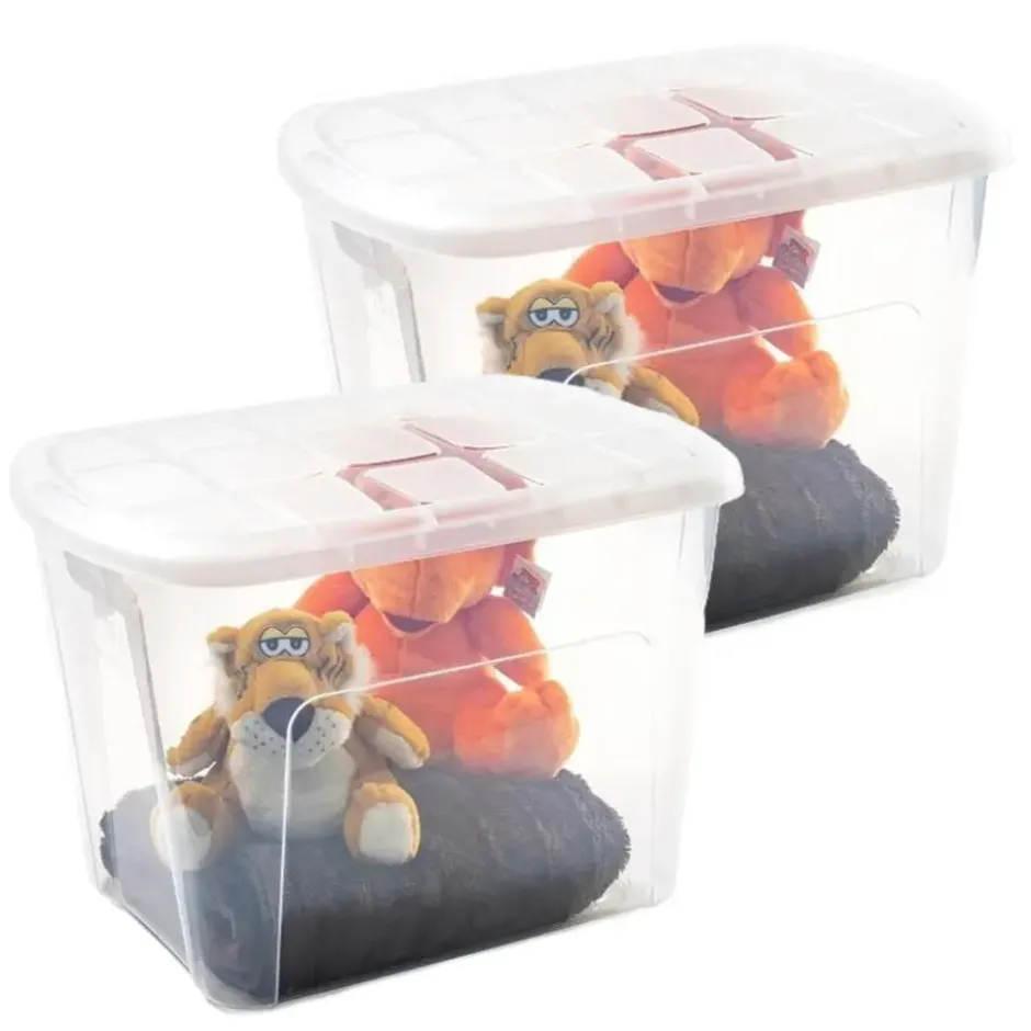 Plasticforte Opbergkist met deksel - Box - 75L - 60x42x43 cm